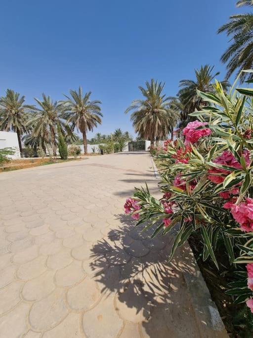 Villa Dar Jamila - Au Coeur De L'Oasis - Gabes Exterior foto